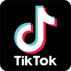 tiktok视频下载